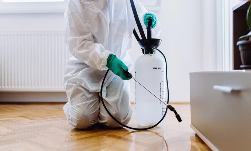 Industries Pest Control Web Design Fort Worth